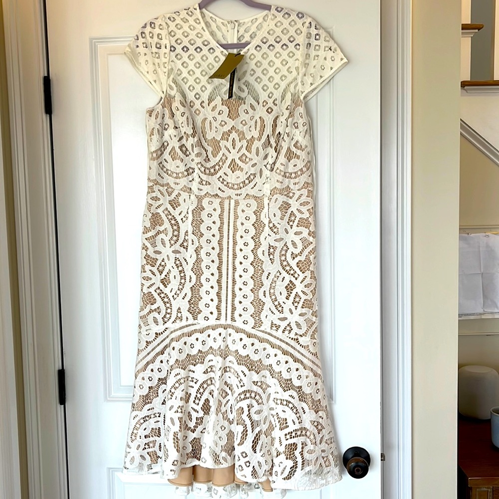 Batteau lace over nude underslip